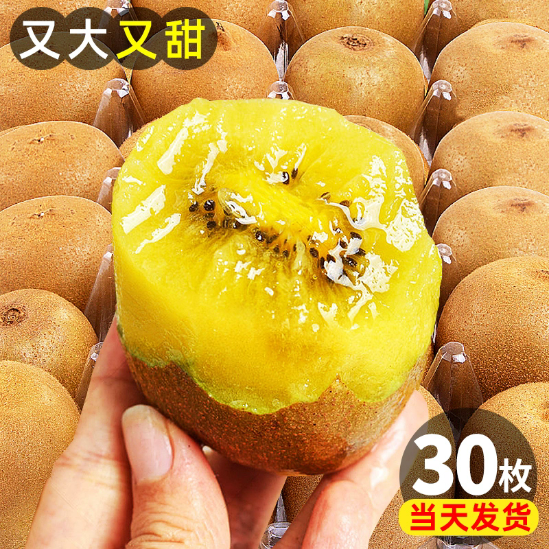 黄心猕猴桃新鲜孕妇当季水果奇异果金果特大果包邮整箱产地直发,水产肉类/新鲜蔬果/熟食,奇异果/猕猴桃,淘宝优惠券,粉丝福利购,淘宝优惠卷
