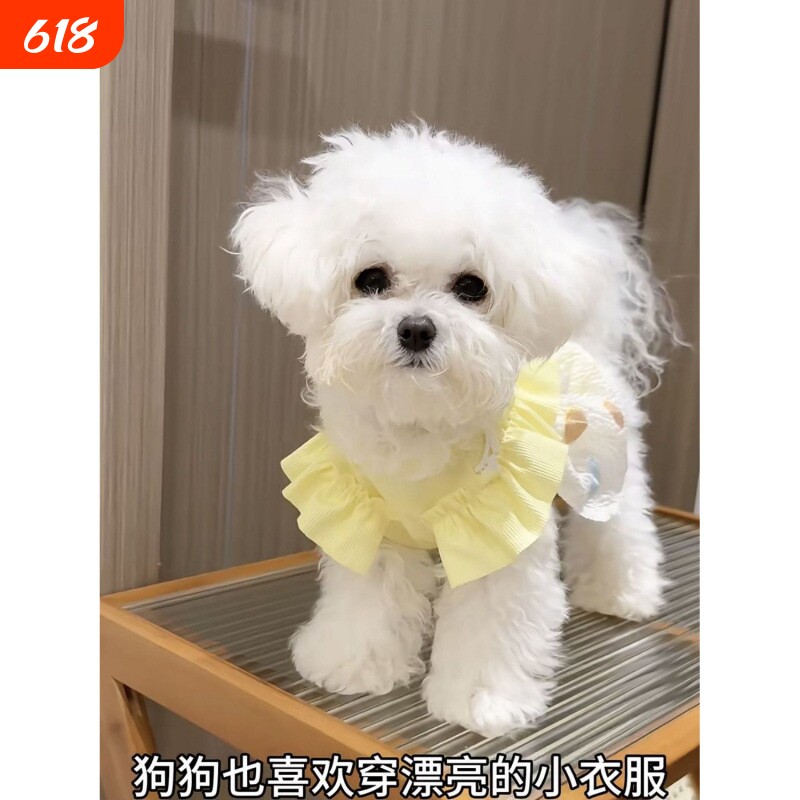 25新款宠物狗狗猫咪家居服饰公主裙泰迪比熊马尔济斯奶狗博美衣服