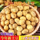 现挖恩施精品小土豆新鲜黄心土豆迷你马铃薯洋芋批发 恩施发货