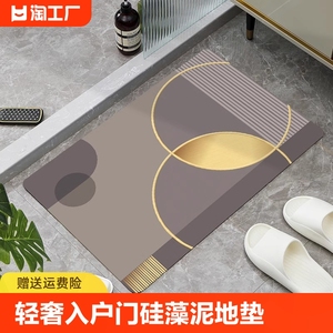 轻奢入户门门厅玄关地毯耐脏防跑地垫硅藻泥家用大门口进门口脚垫