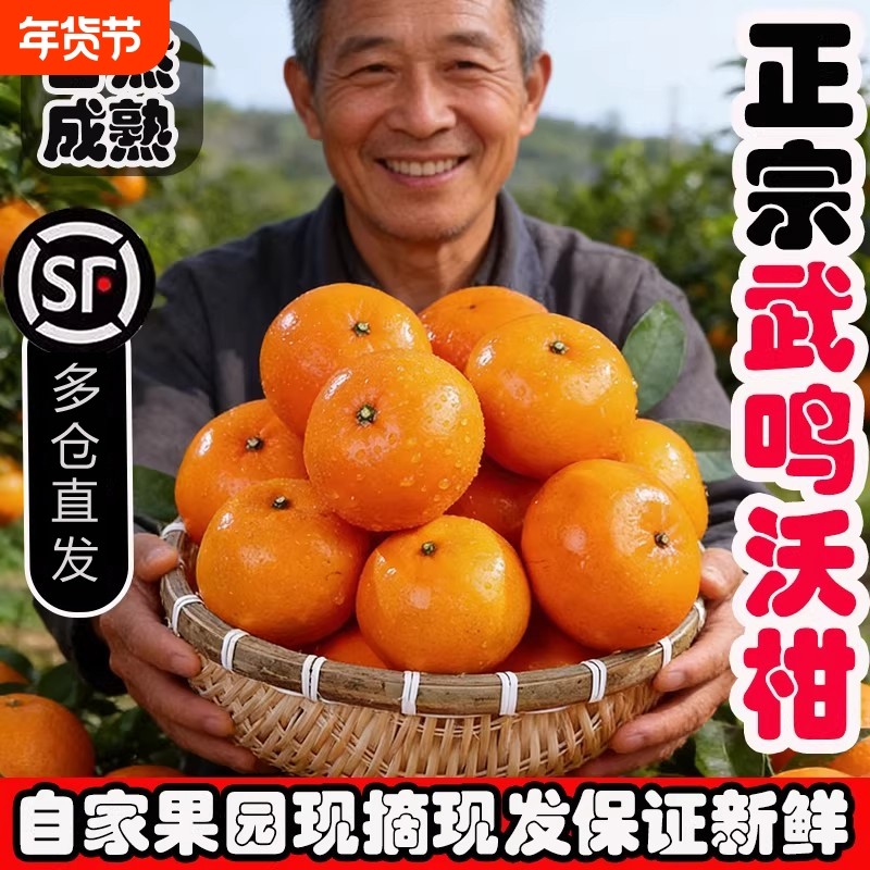 正宗广西武鸣沃柑橘子水果新鲜当季整箱皇帝砂糖蜜桔耙耙现摘9斤,水产肉类/新鲜蔬果/熟食,桔子,淘宝优惠券,粉丝福利购,淘宝优惠卷