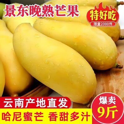 云南晚熟芒果新鲜金煌大芒果现摘当季热带水果景东直发果肉鲜果