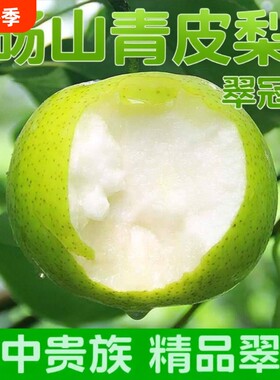 头茬】正宗青皮蜜梨翠冠苏翠一号皇冠梨应季水果现摘现发脆甜无渣