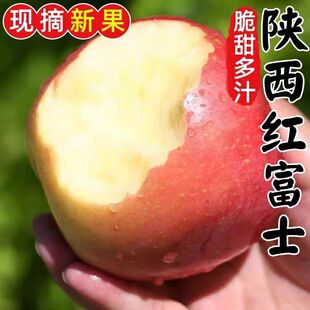 水果新鲜整箱批发 陕西冰糖心红富士丑苹果脆甜平果当季 超脆甜