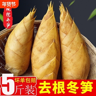 2025冬笋新鲜现挖正宗福建高山毛竹笋农家黄泥带壳竹笋尖火锅配菜
