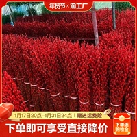 Свежие ветви Yinliu Nun Flower Silver Willow Zhenhua