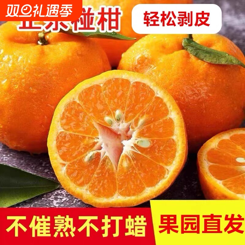 湖北清江椪柑5斤新鲜水果碰柑长阳桔子精品岩松坪正宗土家特产