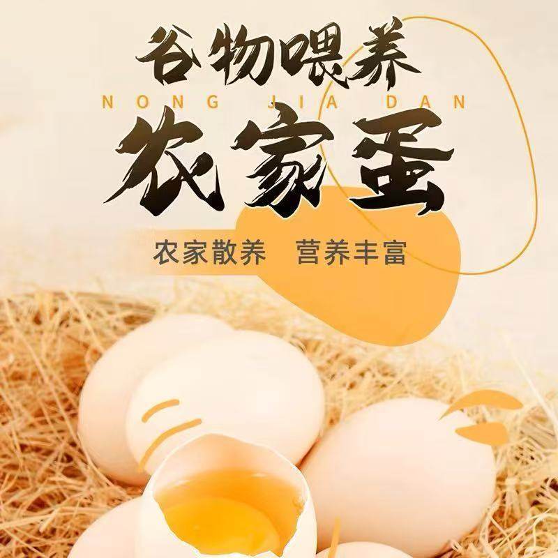 农家散养土鸡蛋新鲜现捡笨鸡蛋谷物蛋柴鸡蛋鲜鸡蛋月子蛋多规格,水产肉类/新鲜蔬果/熟食,鸡蛋,淘宝优惠券,粉丝福利购,淘宝优惠卷