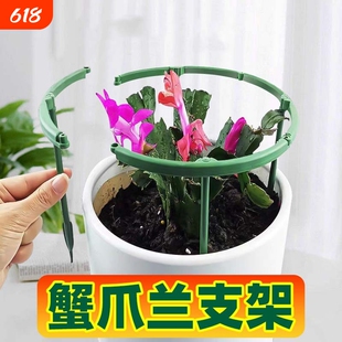 防倒伏支撑杆植物专用支架龟背竹蝴蝶兰秋海棠固定神器支撑架花卉