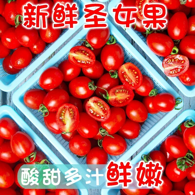 珑千禧小番茄千喜西红柿圣女果新鲜水果当季小柿子农家蔬菜