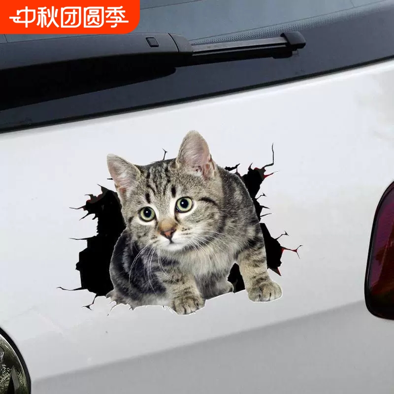 遮丑小猫汽车贴纸创意个性可爱搞怪猫咪遮挡车身车尾划痕刮痕贴