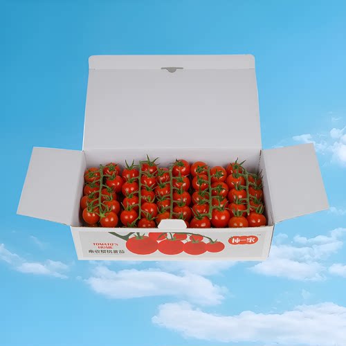 柿一家串收小番茄1kg顺丰即食新鲜水果千禧西红柿夏季解暑自提