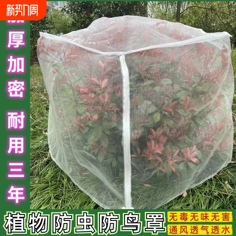 果树防虫防鸟罩嘉宝果芭乐果枇杷雾莲大棚专用罩防虫网加密果蝇