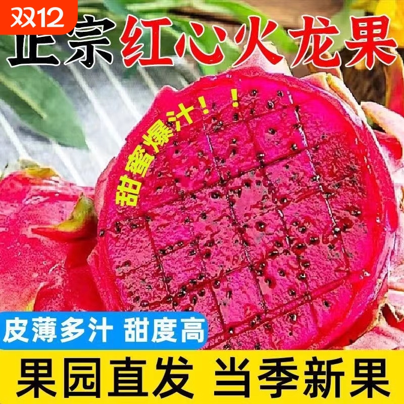 现摘红心火龙果超甜大果金都一号新鲜当季精品水果整箱火龙果红心