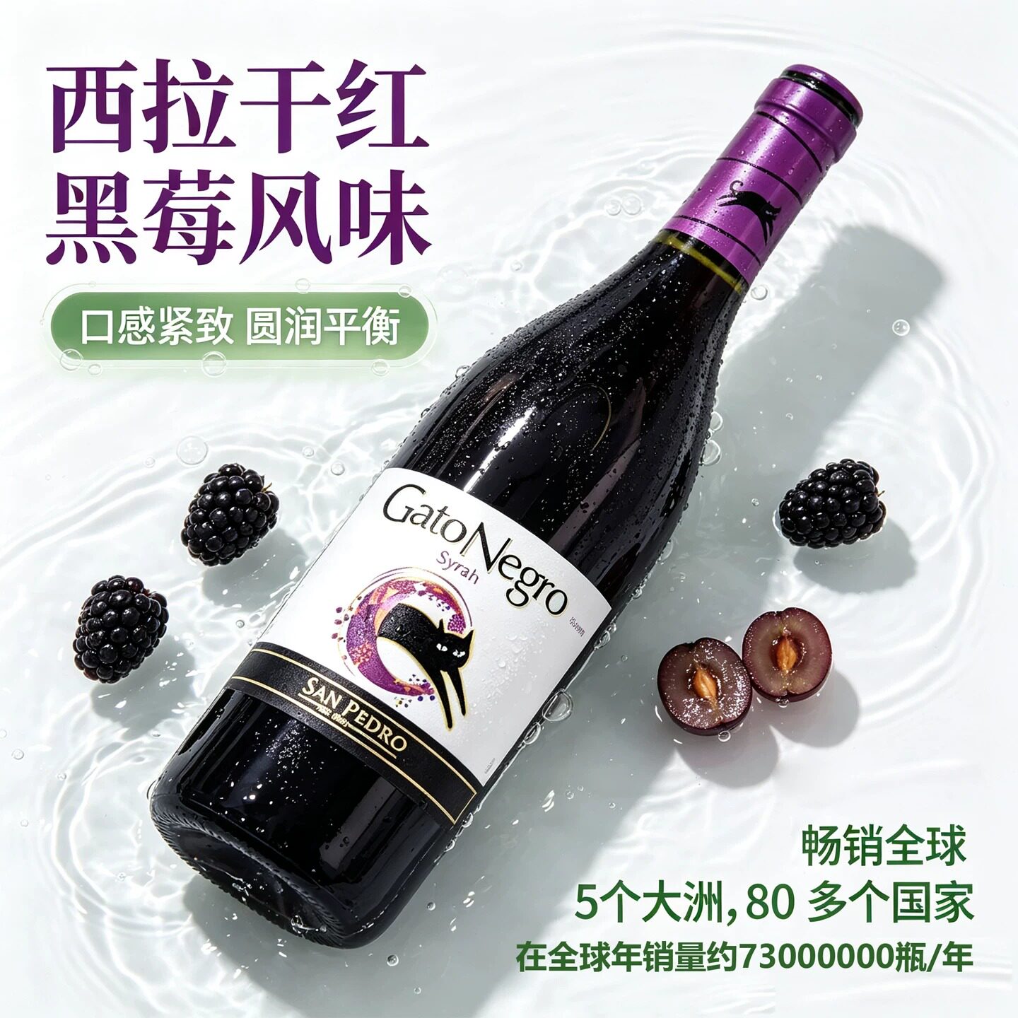 黑猫红酒智利原瓶进口西拉750ml干红葡萄酒微醺女生酒类酒庄梅洛