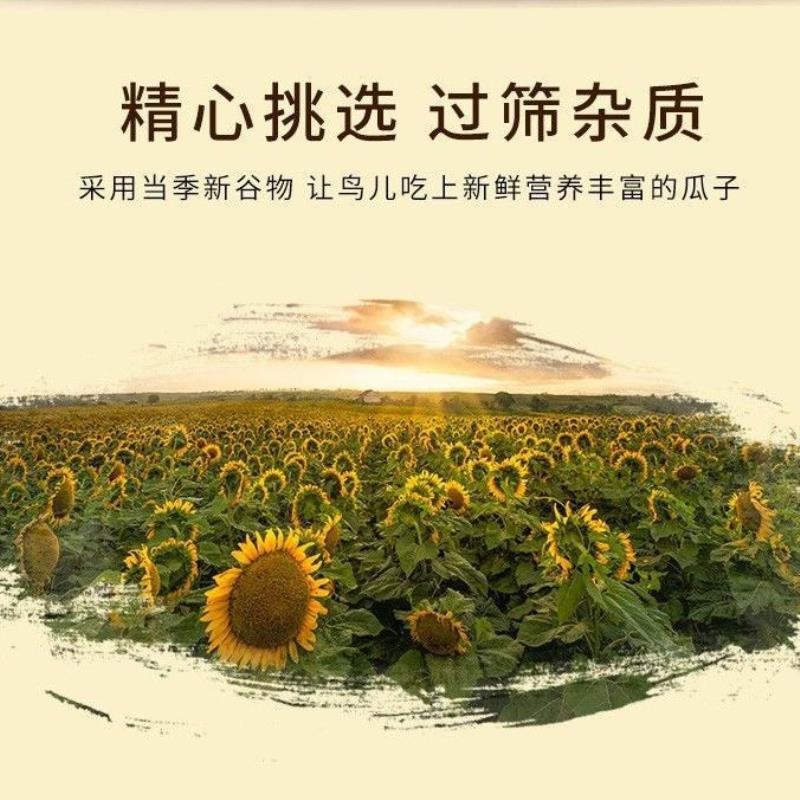 2025年新黑珍珠小瓜子葵花子油葵籽鹦鹉鸟食仓鼠粮鸽粮黑瓜子鸟粮