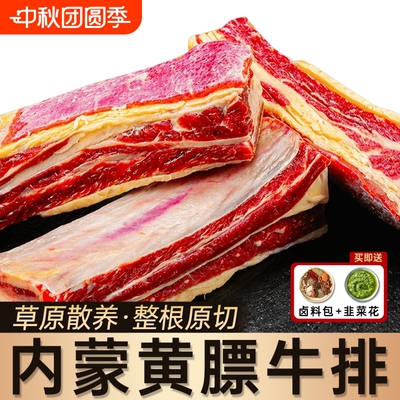 黄膘牛排内蒙古新鲜带肉牛肋排条原切牛肉冷冻黄标牛排骨生鲜