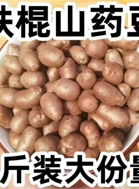 农家新鲜采摘铁棍山药豆冰糖葫芦用豆山药蛋地道优质产地直发现挖