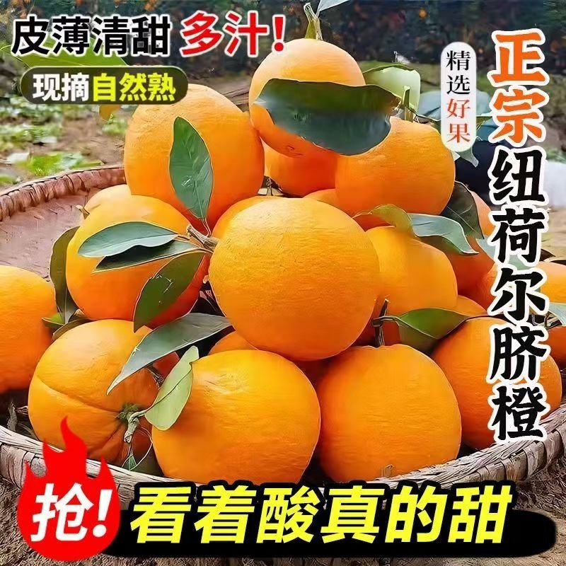 正宗湖北秭归纽荷尔脐橙应季新鲜水果橙子当季鲜橙香甜多汁多规格