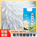 新米上市当季 猫牙米长粒香大米新米丝苗香米晚稻煲仔饭蛋炒饭大米