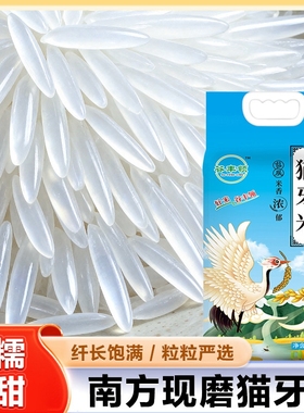 新米上市当季猫牙米长粒香大米新米丝苗香米晚稻煲仔饭蛋炒饭大米