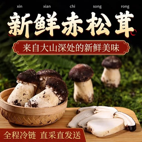 顺丰包邮新鲜赤松茸食用菌菇
