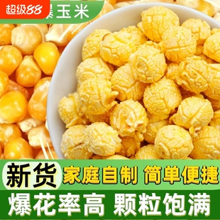 球形爆米花玉米粒100g5斤球型爆米花专用干苞米家庭微波炉自己爆