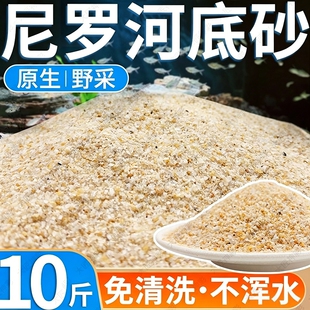 鱼缸造景底部砂石尼罗河细沙化妆沙南美水草缸鼠鱼专用免洗河沙子