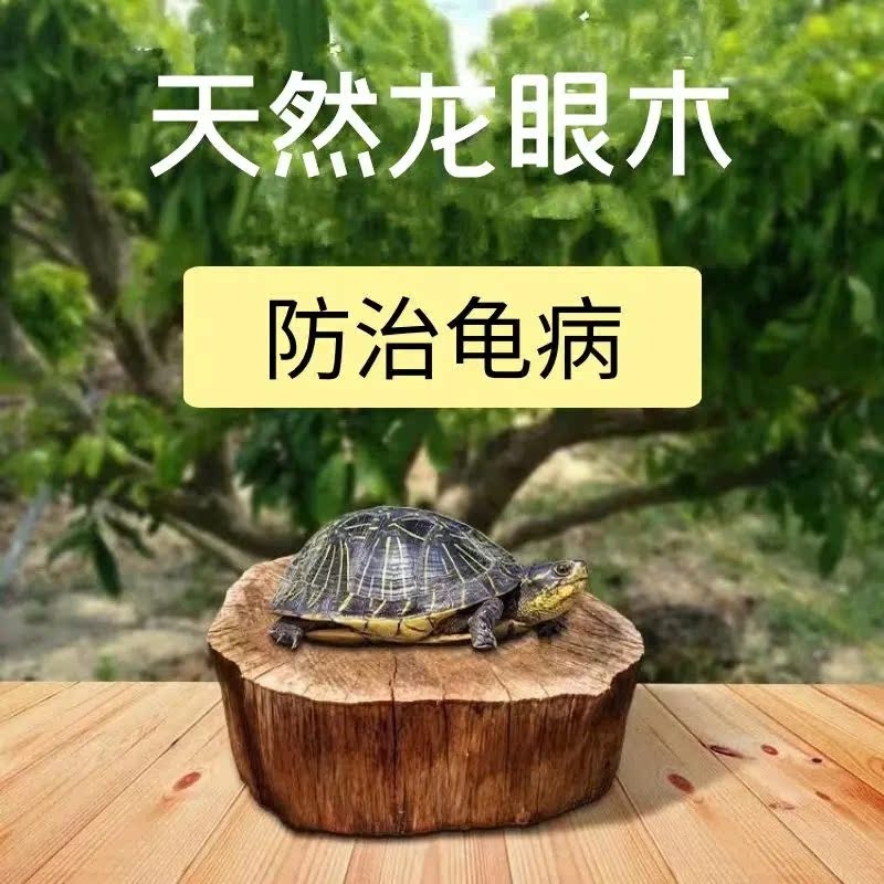 乌龟免煮龙眼木晒背爬台天然沉木栖息龟缸造景摆件生态缸爬台装饰