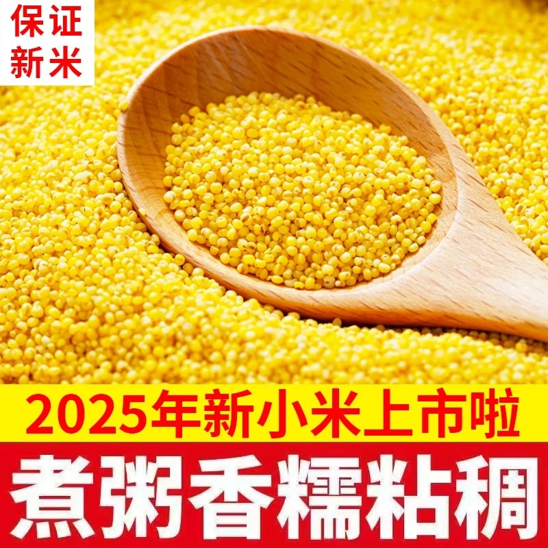 新货黄小米农家新米煮粥杂粮米新米米油丰富煮粥早餐五谷杂粮饱满
