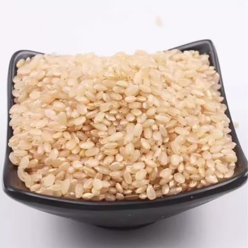 东北糙米农家粗粮健身玄米糙米饭代餐减脂主食五谷杂粮粗粮