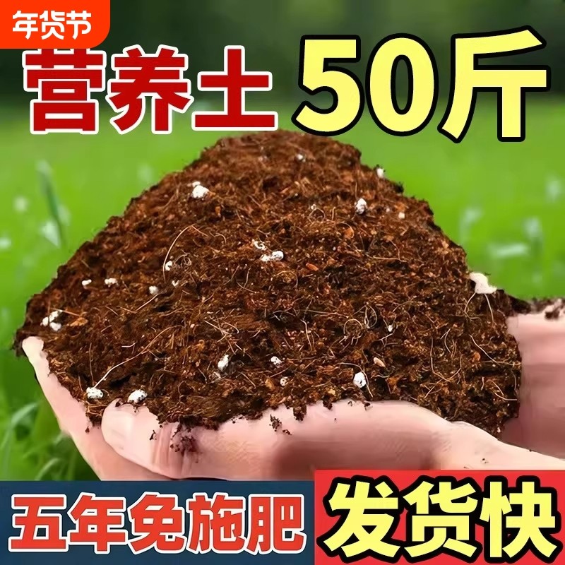50升大包通用型疏松透气泥炭营养土种菜土养花土壤多肉种植有机土,鲜花速递/花卉仿真/绿植园艺,介质/营养土,淘宝优惠券,粉丝福利购,淘宝优惠卷