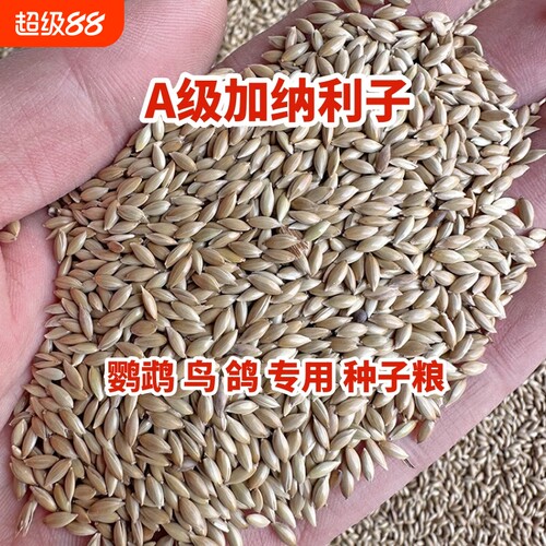 鹦鹉专用草籽鸟粮|834人收藏