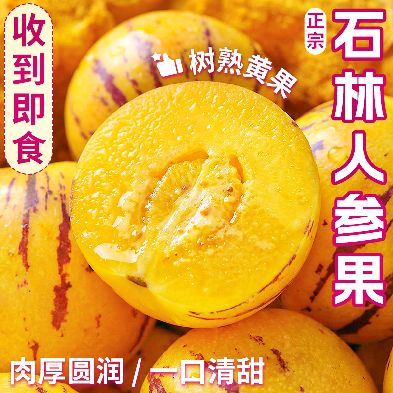 人参果新鲜水果云南石林黄心圆果树上熟人心果人生果应季整箱包邮