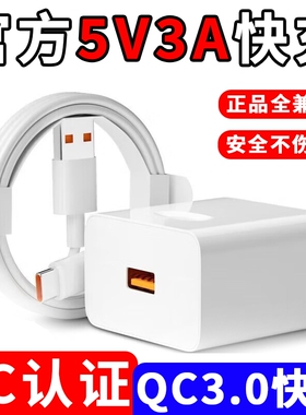 全兼容5V3A充电器散热器适配器35W按摩器电热垫15W保温碗保温壶插头充电宝通用typec数据线6A正品电源