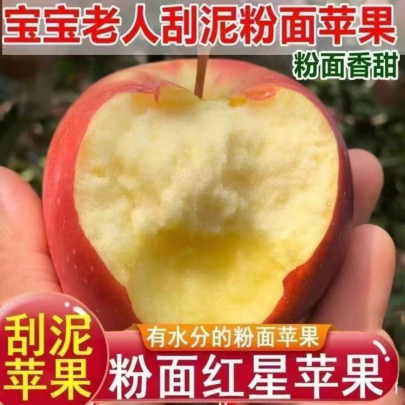 山西运城粉面苹果新鲜红星秦冠苹果宝宝老人辅食吃农场红香蕉现摘