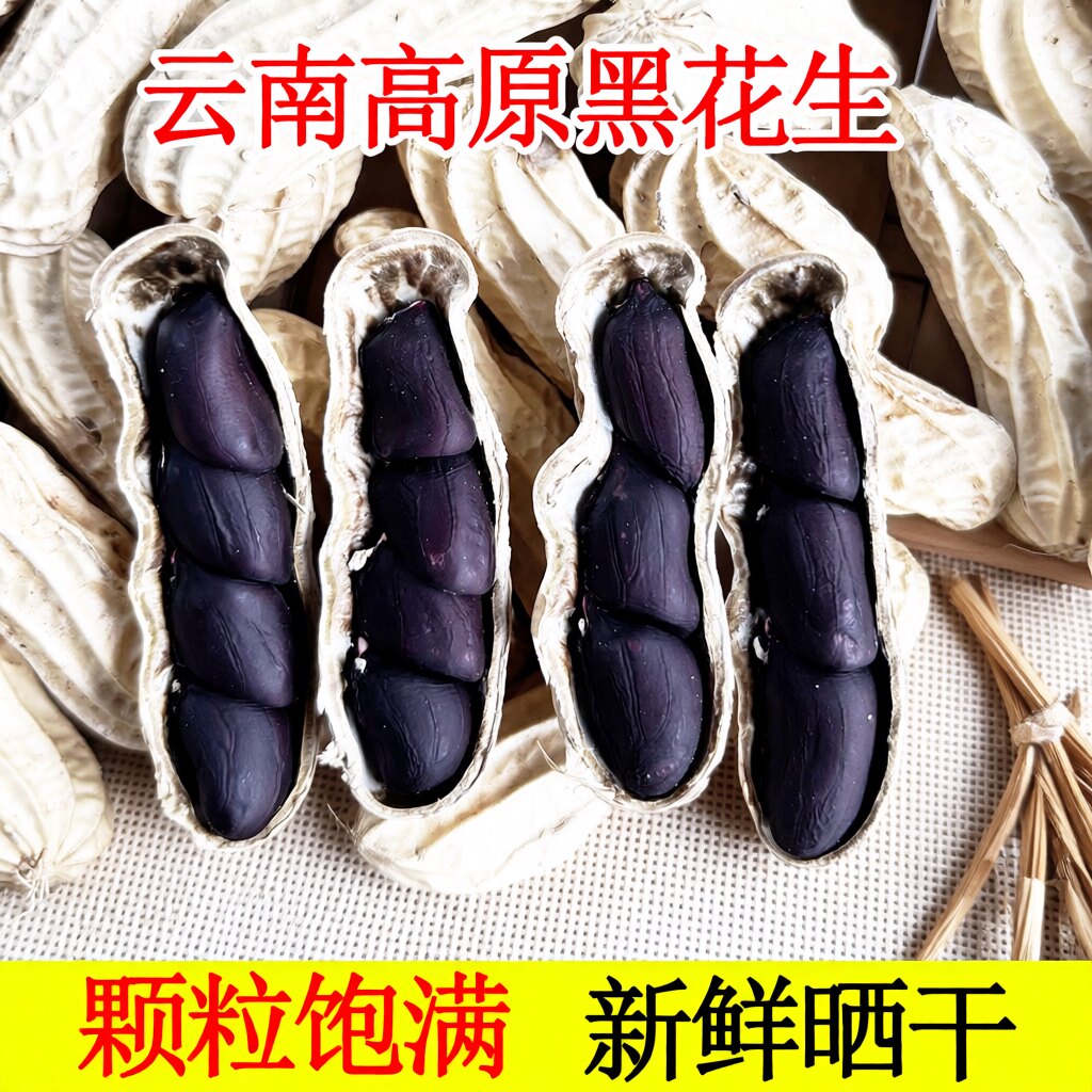 2026年黑花生带壳富硒生的晒干种子云南特产黑皮花生米新鲜区别图片