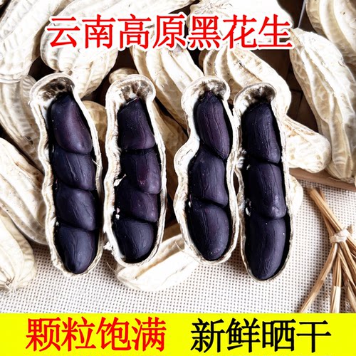 2026年黑花生带壳富硒生的晒干种子云南特产黑皮花生米新鲜普洱