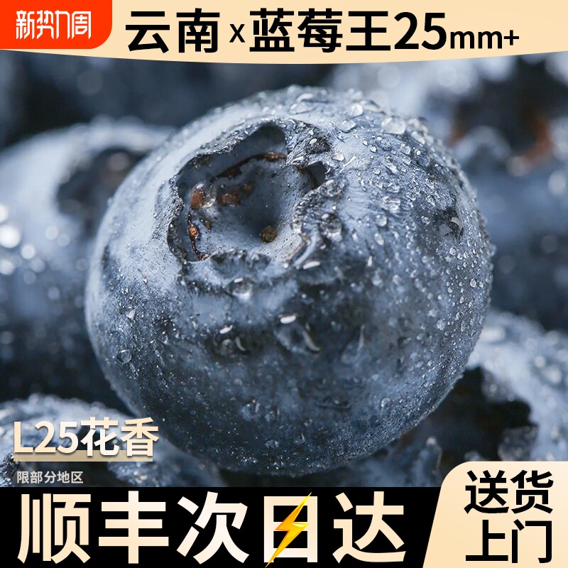 云南花香蓝莓新鲜果高山当季水果l25整箱特大果产地直发顺丰包邮