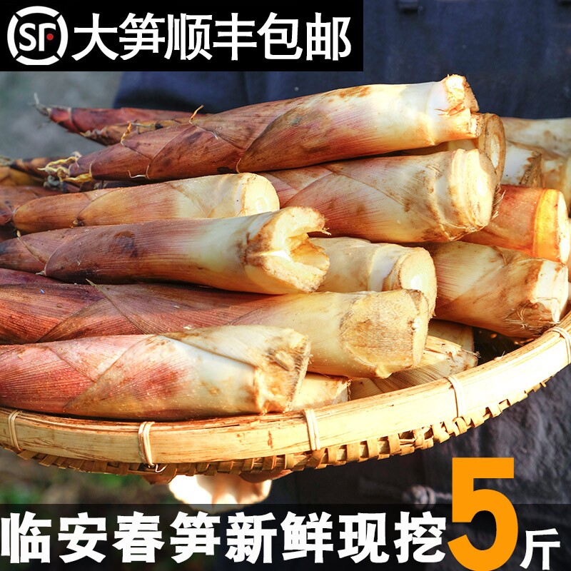 春笋新鲜雷竹笋现挖现发临安天目山冬笋子竹笋油焖笋野生笋尖蔬菜