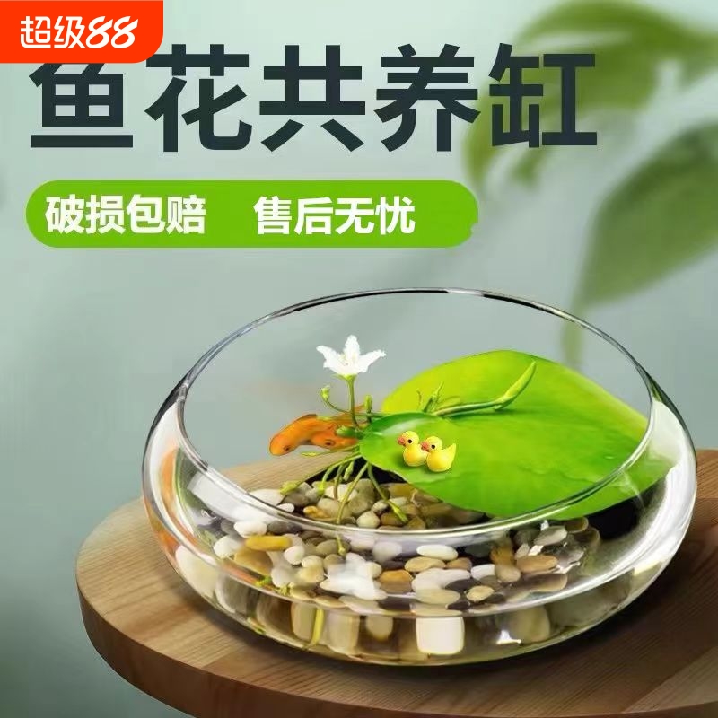 大口径玻璃花瓶碗莲铜钱草水仙花盆水培客厅桌面阳台摆件精致耐用