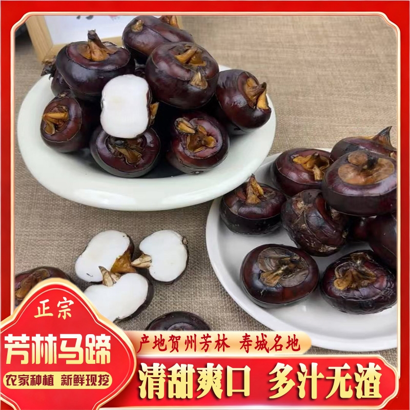 广西荔浦马蹄无渣特大果新鲜现挖红皮水果马蹄荸荠当季水果即食