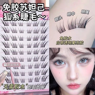 朵免胶大容量棕色苏妲己假睫毛加长单簇浓密自粘胶水拉长镊子眼尾