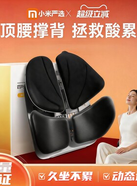 人体工学办公室久坐腰靠靠垫