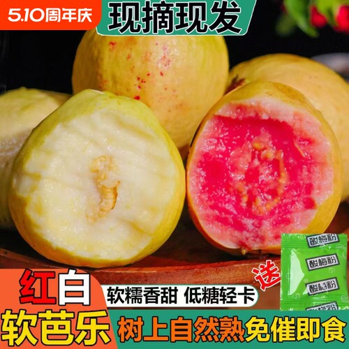 福建双拼红白心奶油冰淇淋芭乐软心软糯新鲜番石榴脆甜鸡屎果批发
