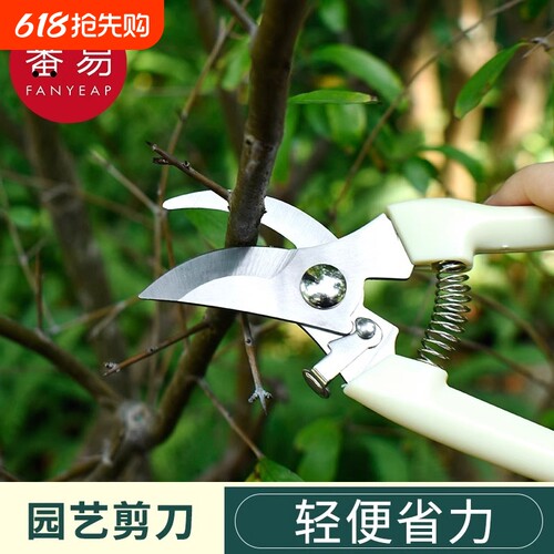 剪刀/园艺B1pl700-修枝剪树枝花卉修花菜地园林采摘水果树家用省