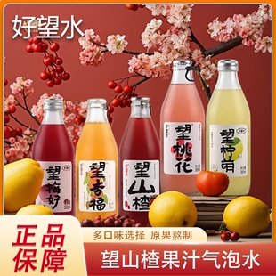 临期 好望水望山楂汁气泡水碳酸果汁饮料望梅好订婚饮料 望柠檬