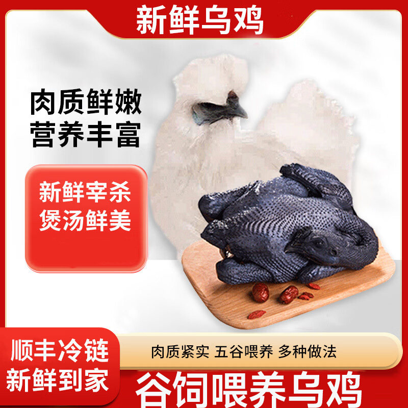 乌鸡新鲜宰杀生鲜走整只孕妇月子鸡煲汤顺丰冷链乌骨鸡冷冻清真