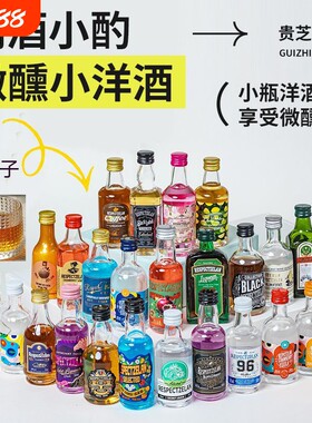 贵DIY微醺套装正品小洋酒威士忌基酒便利店同款鸡尾酒小酒瓶装