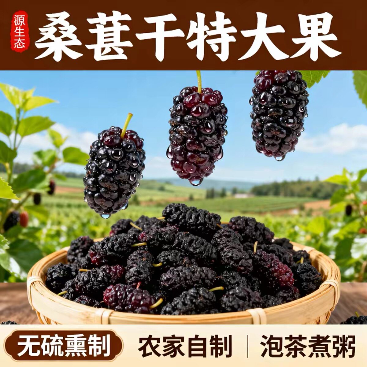新疆桑葚干黑桑椹特级泡茶泡水桑椹干即食无沙养生花果茶泡酒水果